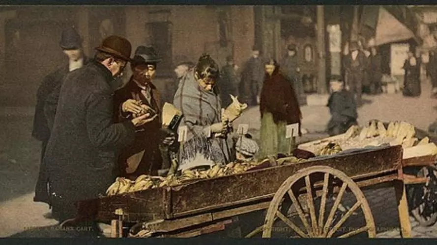 banana cart ny loc photochrom med