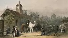 View of the zoological gardens 1835