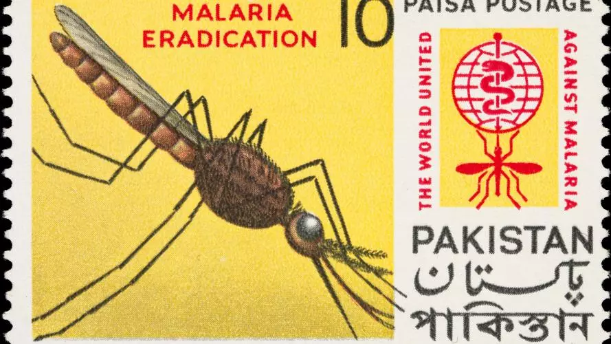 malaria eradication the world united against malaria 10 paisa postage pakistan credit wellcome collection attribution 4 0 international cc by 4 0 i