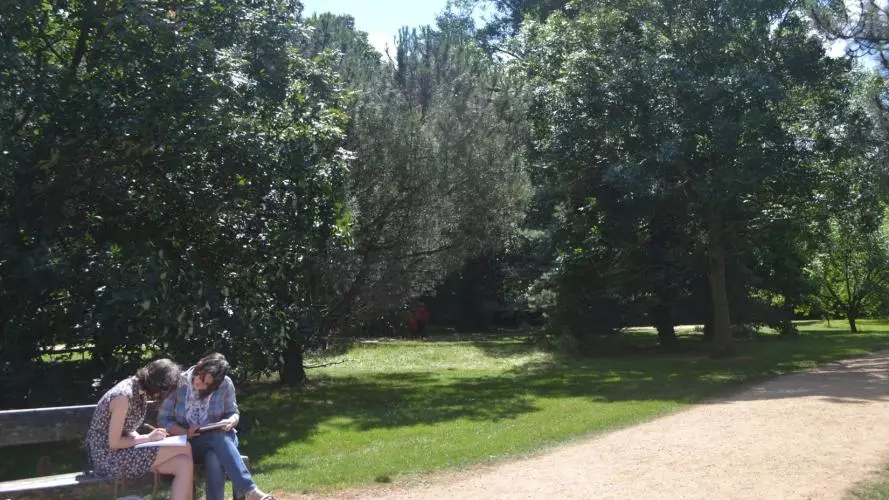 Studying in University Park