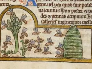 Detail of a miniature of bees