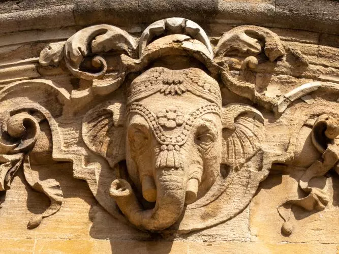 elephant  ind institute