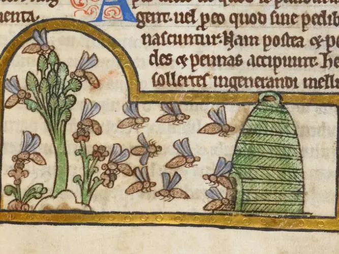 Detail of a miniature of bees collecting nectar and returning to their hive, from a bestiary with theological texts, England, c. 1200 - c. 1210,