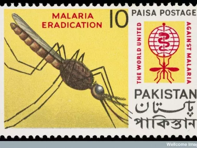 Malaria in Asia