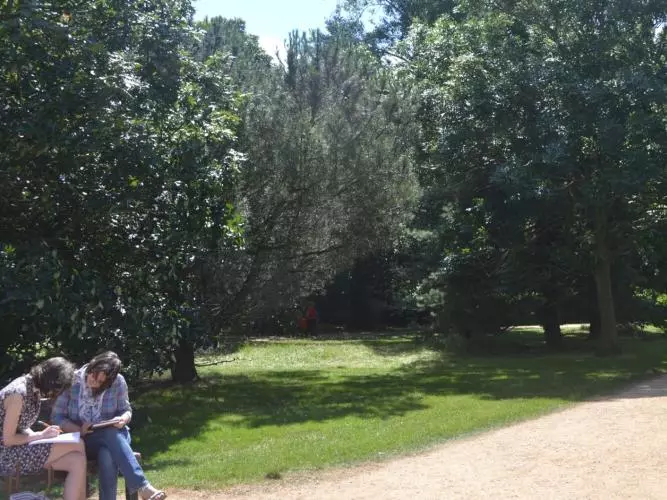 Studying in University Park