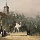 View of the zoological gardens 1835