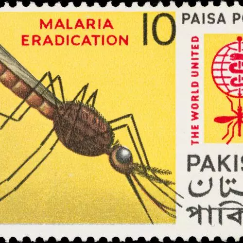 malaria eradication the world united against malaria 10 paisa postage pakistan credit wellcome collection attribution 4 0 international cc by 4 0 i
