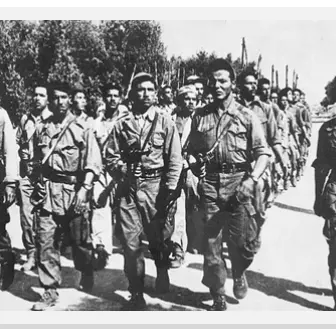 Algerian War of Independence