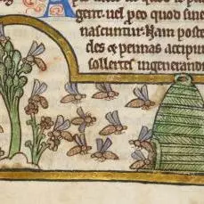 Detail of a miniature of bees