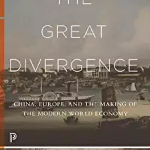 the great divergence
