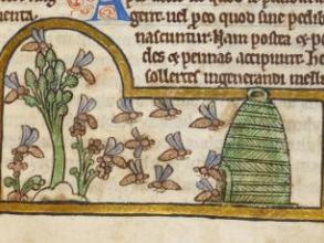 Detail of a miniature of bees