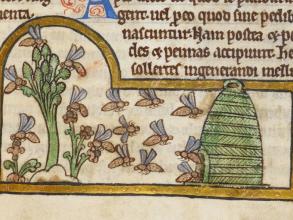 Detail of a miniature of bees collecting nectar and returning to their hive, from a bestiary with theological texts, England, c. 1200 - c. 1210,