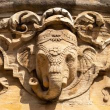 elephant  ind institute