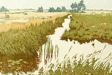 engineering the environment and imagining nature in the early modern world